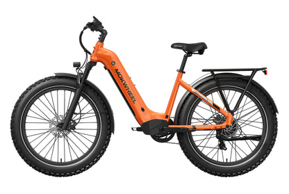 Basalt ST Ebike