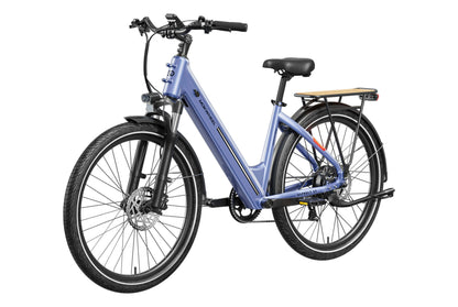 Asphalt ST Ebike
