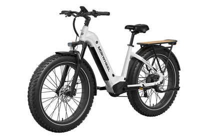 Basalt ST Ebike