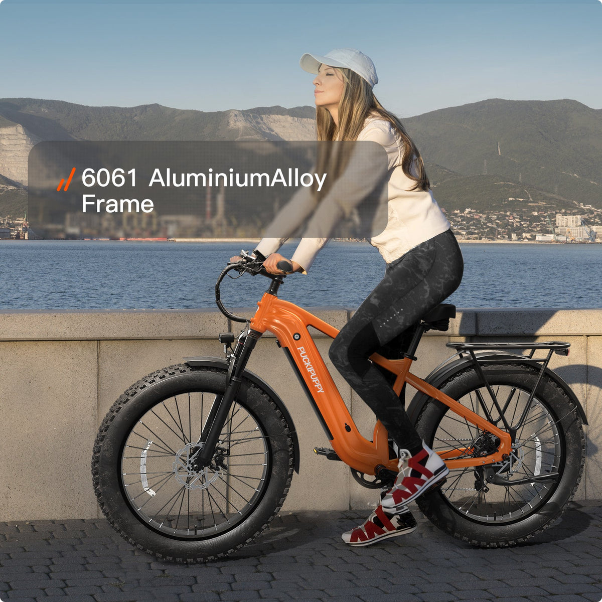 Puckipuppy Beagle 2 Ebike - view 18