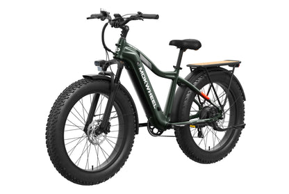 Tor Plus Ebike
