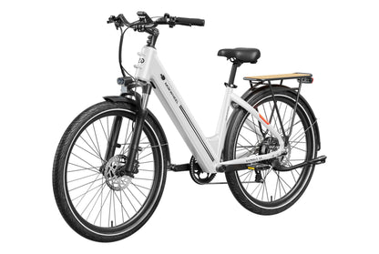 Asphalt ST Ebike