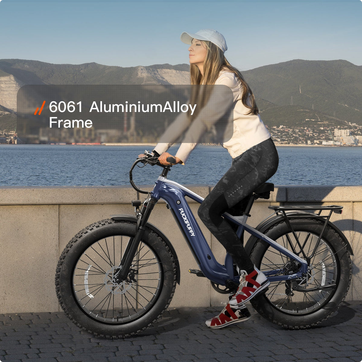 Puckipuppy Beagle 2 Ebike - view 11