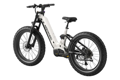 Onyx ST Ebike
