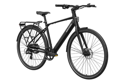 FLINT Ebike