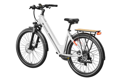 Asphalt ST Ebike