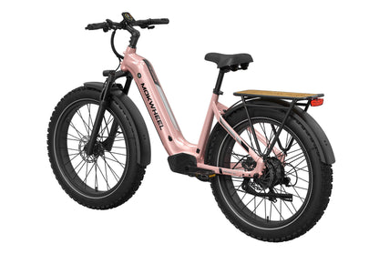 Basalt ST Ebike