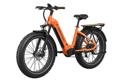 Basalt ST Ebike
