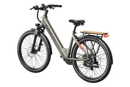 Asphalt ST Ebike