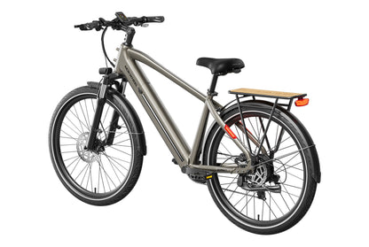 Asphalt Ebike