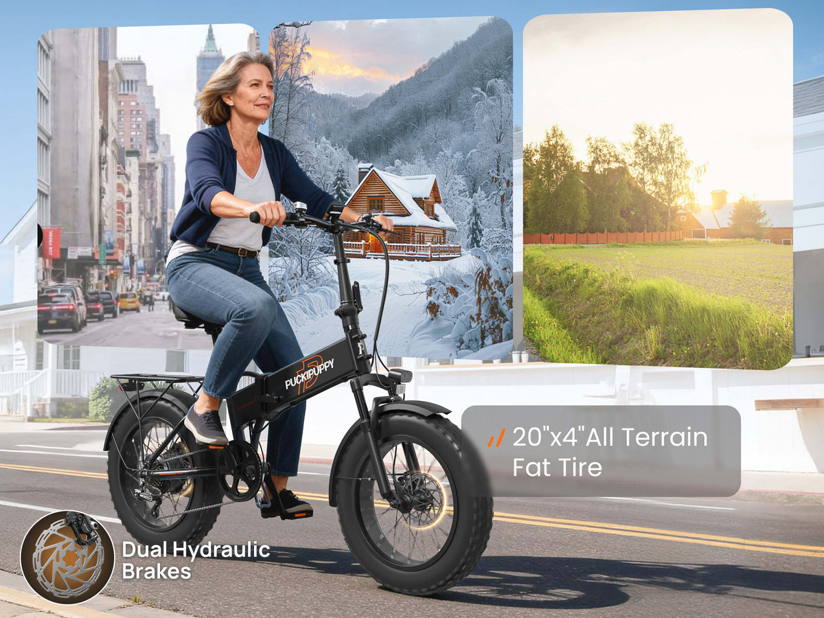 Puckipuppy Dachshund Ebike - view 10