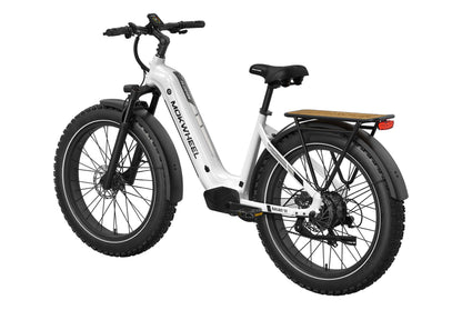 Basalt ST Ebike