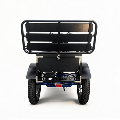 EMOJO Bull Trail Urban Cruiser - view 5