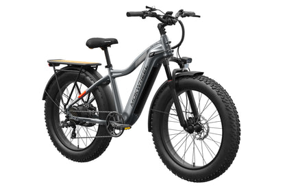 Tor Plus Ebike