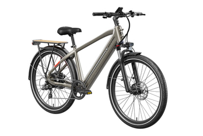 Asphalt Ebike
