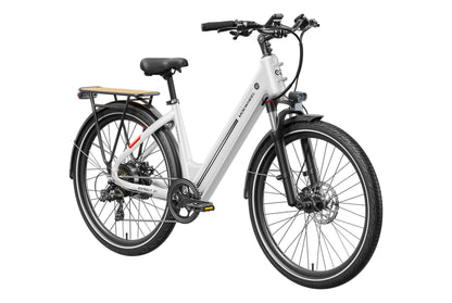 Asphalt ST Ebike