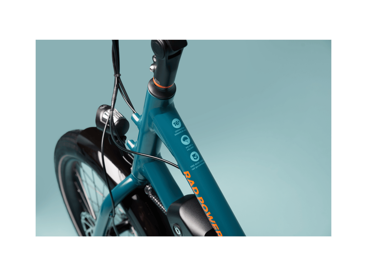 RadWagon™ Electric Cargo Bike