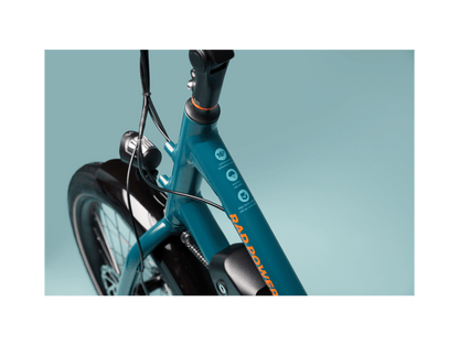 RadWagon™ Electric Cargo Bike