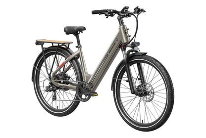 Asphalt ST Ebike