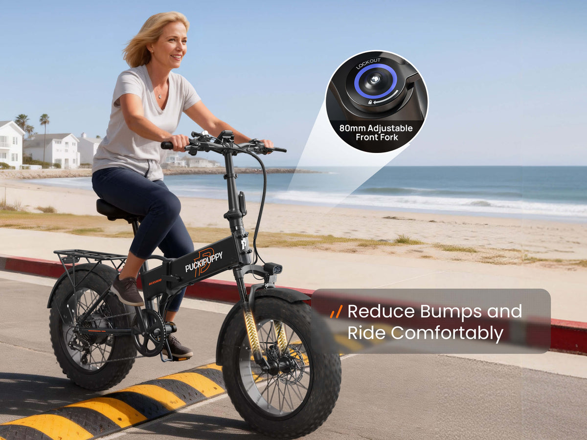 Puckipuppy Dachshund Ebike - view 11