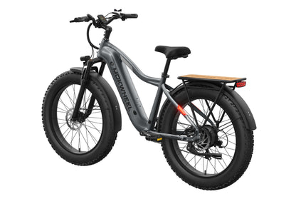 Tor Plus Ebike