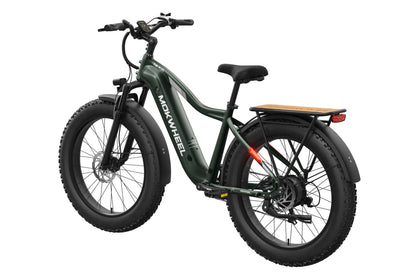 Tor Plus Ebike