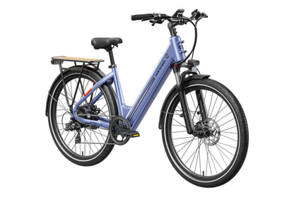 Asphalt ST Ebike