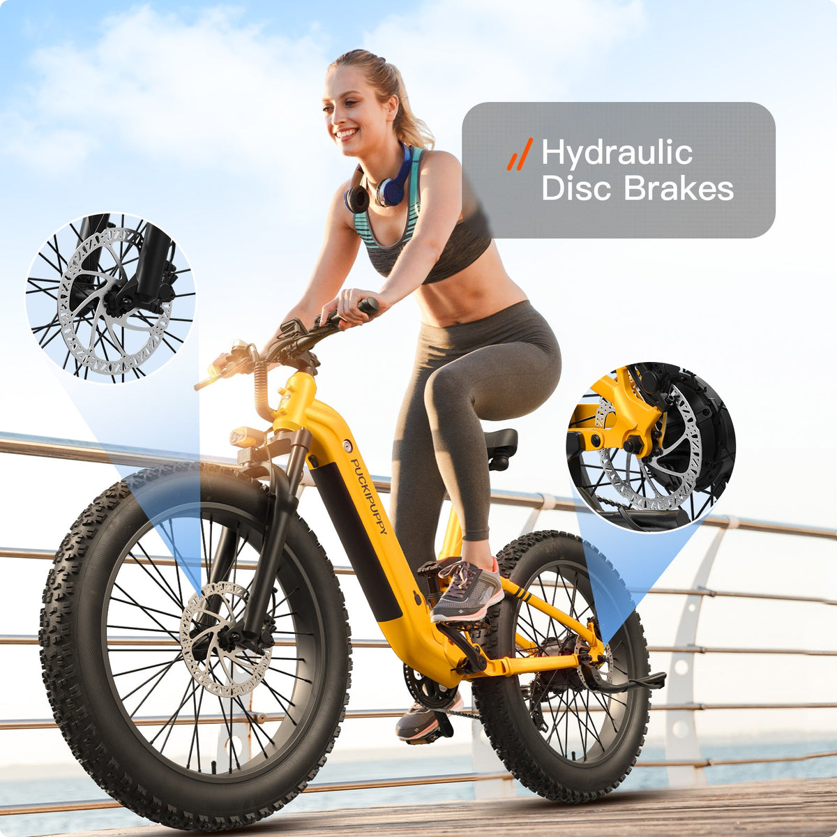 Puckipuppy Boxer ST Ebike - view 17