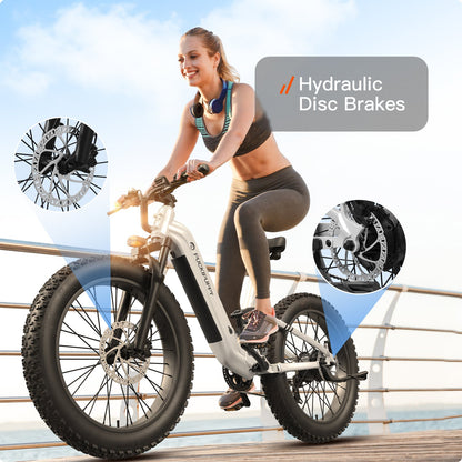 Puckipuppy Boxer ST Ebike - view 9