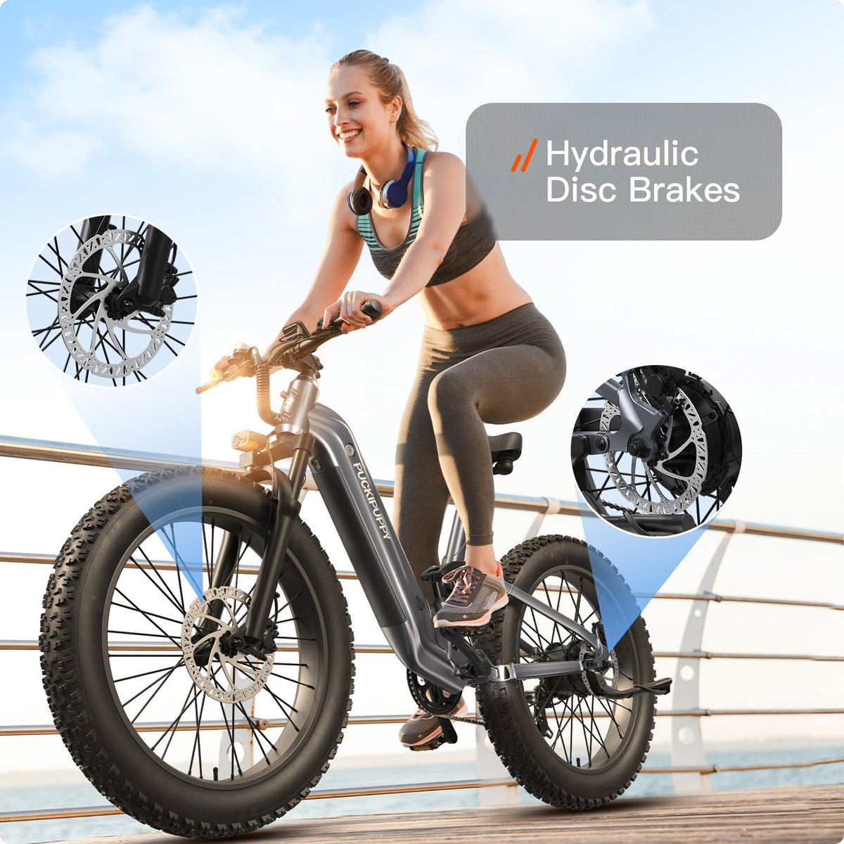 Puckipuppy Boxer ST Ebike - view 21