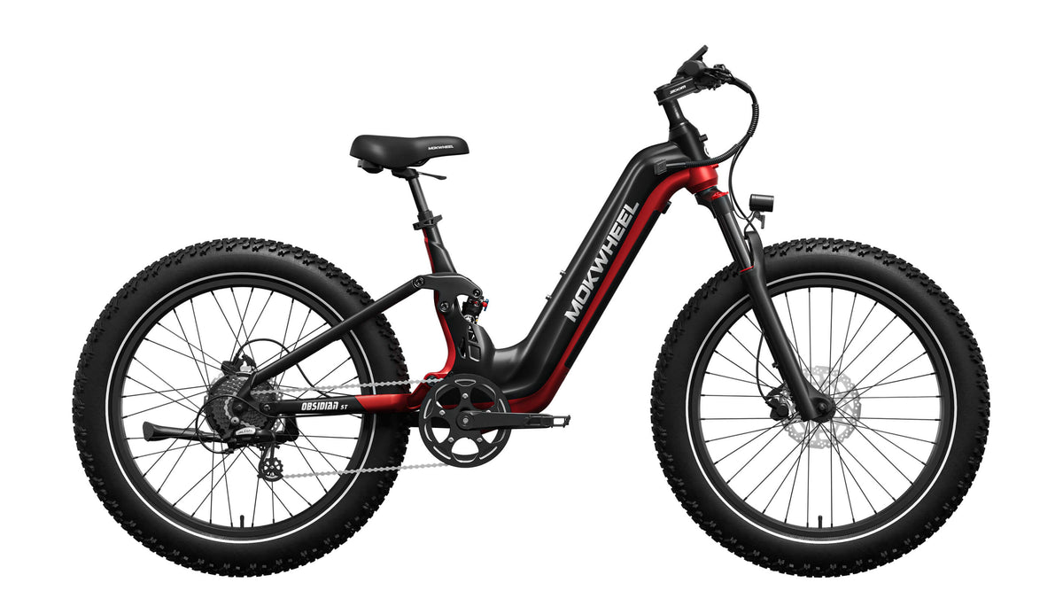Obsidian ST Ebike – Mokwheel product image 17