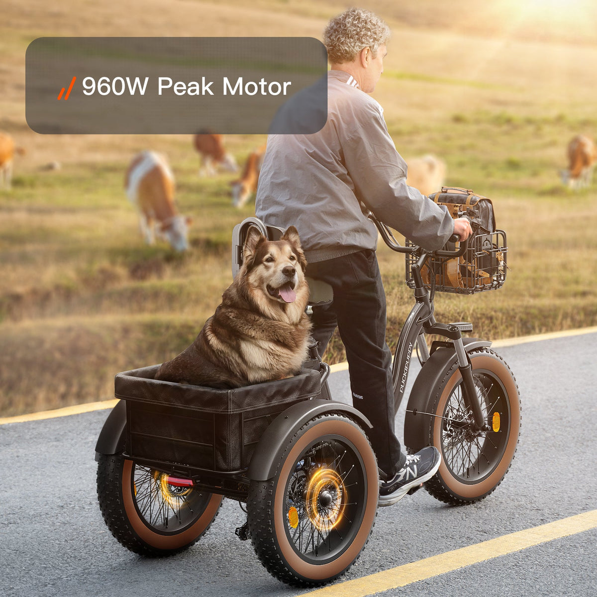 Puckipuppy Alaskan Etrike - view 20