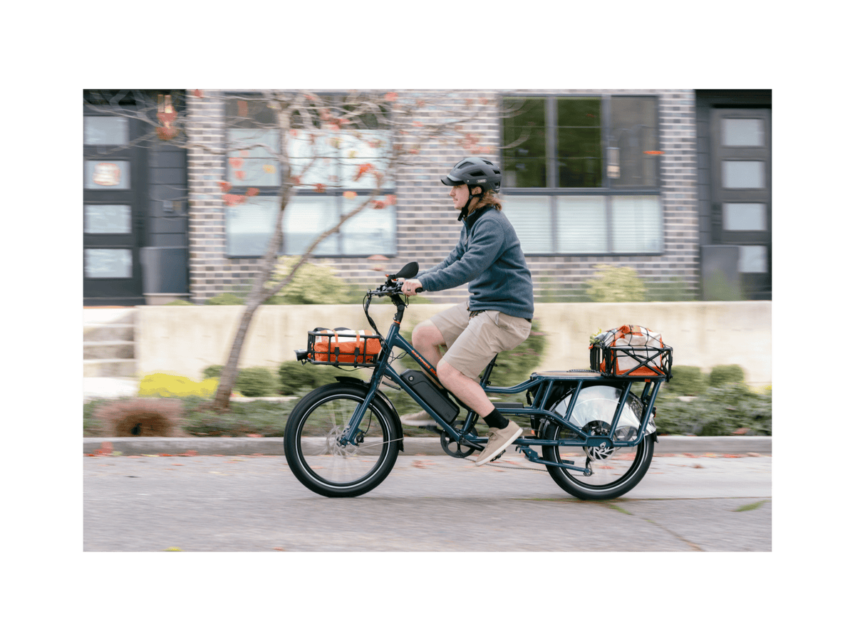 RadWagon™ Electric Cargo Bike
