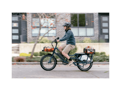 RadWagon™ Electric Cargo Bike