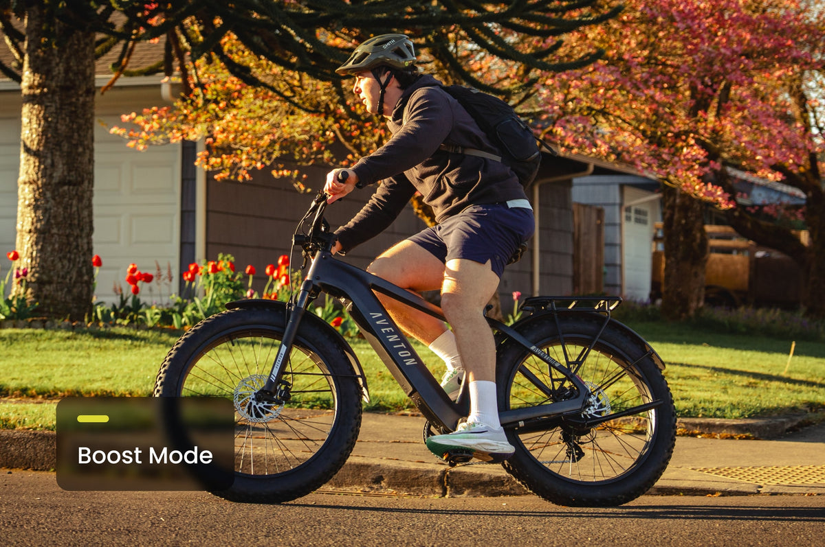 Aventon Aventure 3 Step-Through Ebike - view 9