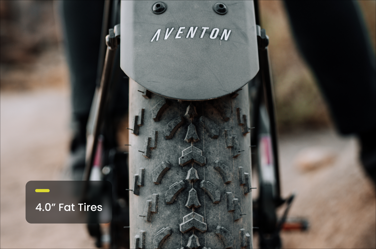 Aventon Aventure M Ebike - view 10