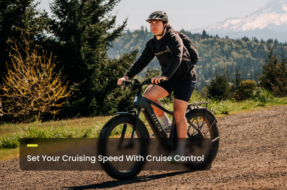 Aventon Aventure 3 Ebike - view 8