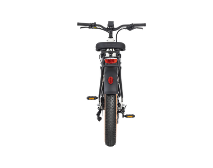 AIMA Big Sur Ebike - view 11