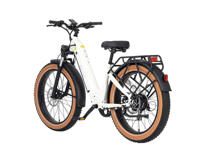 AIMA Big Sur Ebike - view 12