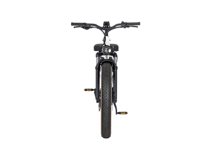 AIMA Big Sur Ebike - view 15
