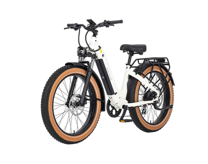 AIMA Big Sur Ebike - view 14