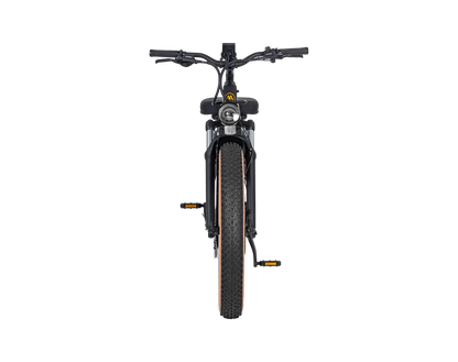 AIMA Big Sur Ebike - view 7