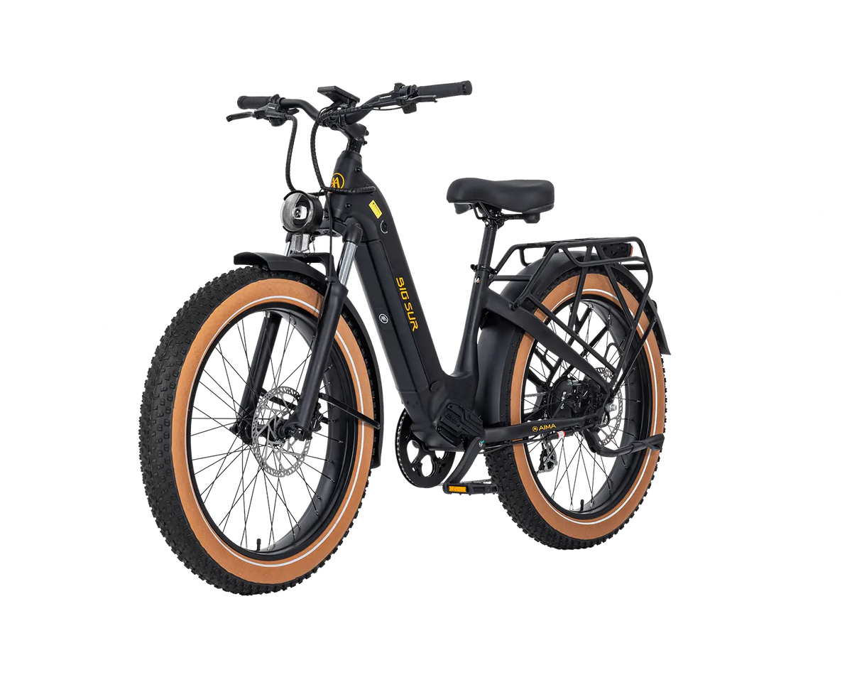 AIMA Big Sur Ebike - view 6