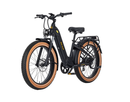 AIMA Big Sur Ebike - view 6