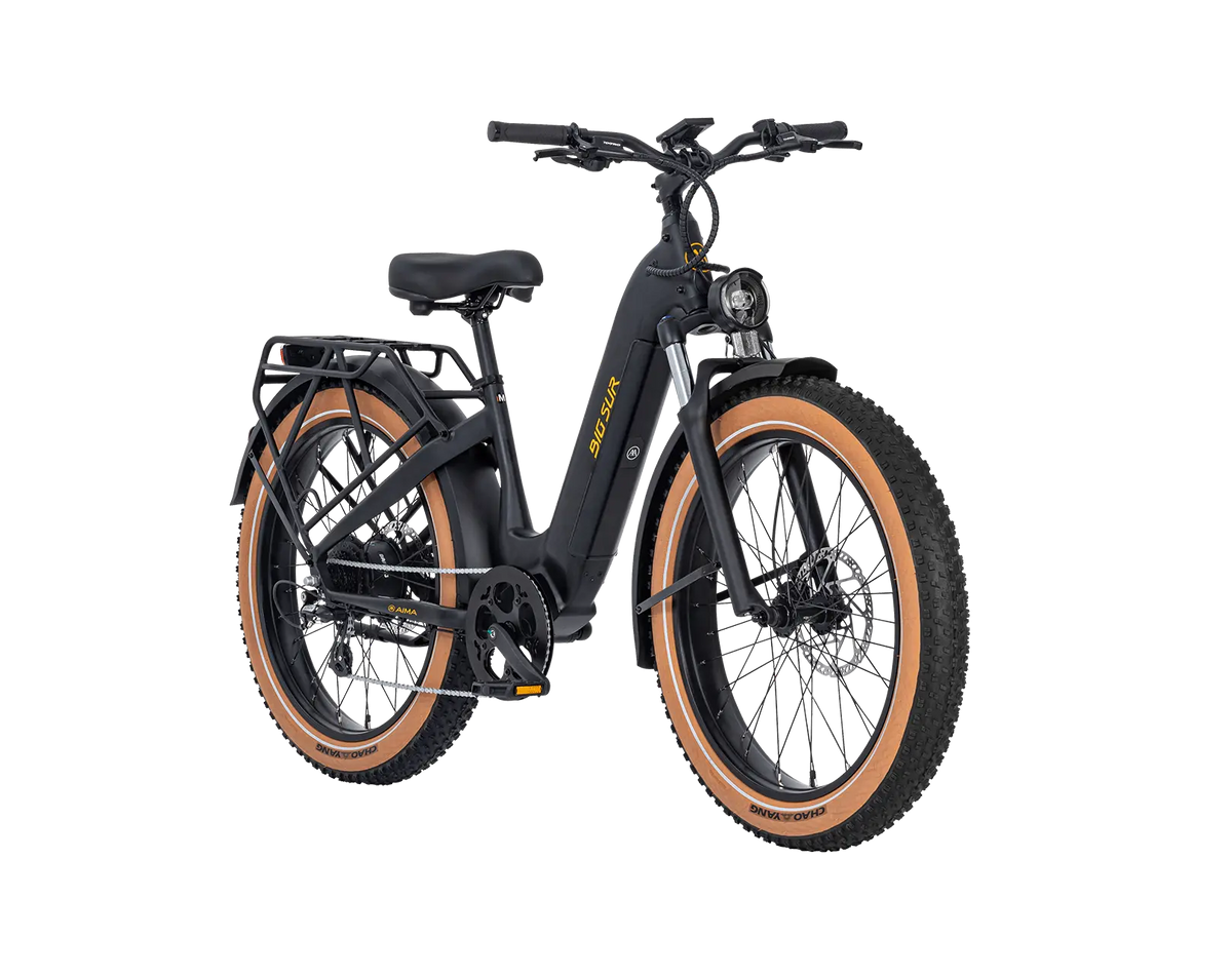 AIMA Big Sur Ebike - view 8