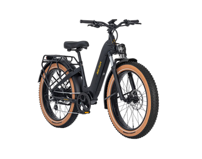 AIMA Big Sur Ebike - view 8