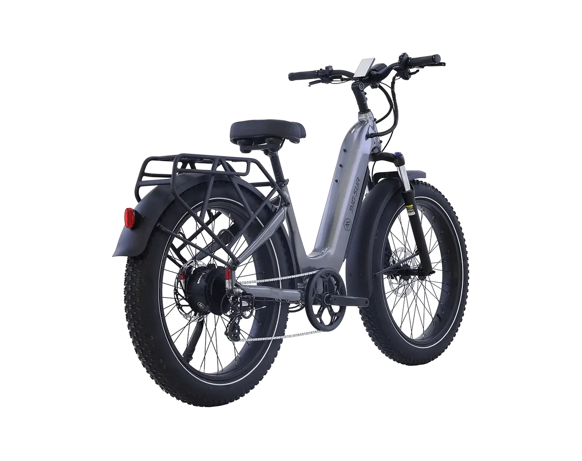 AIMA Big Sur 2.0 Ebike - view 2