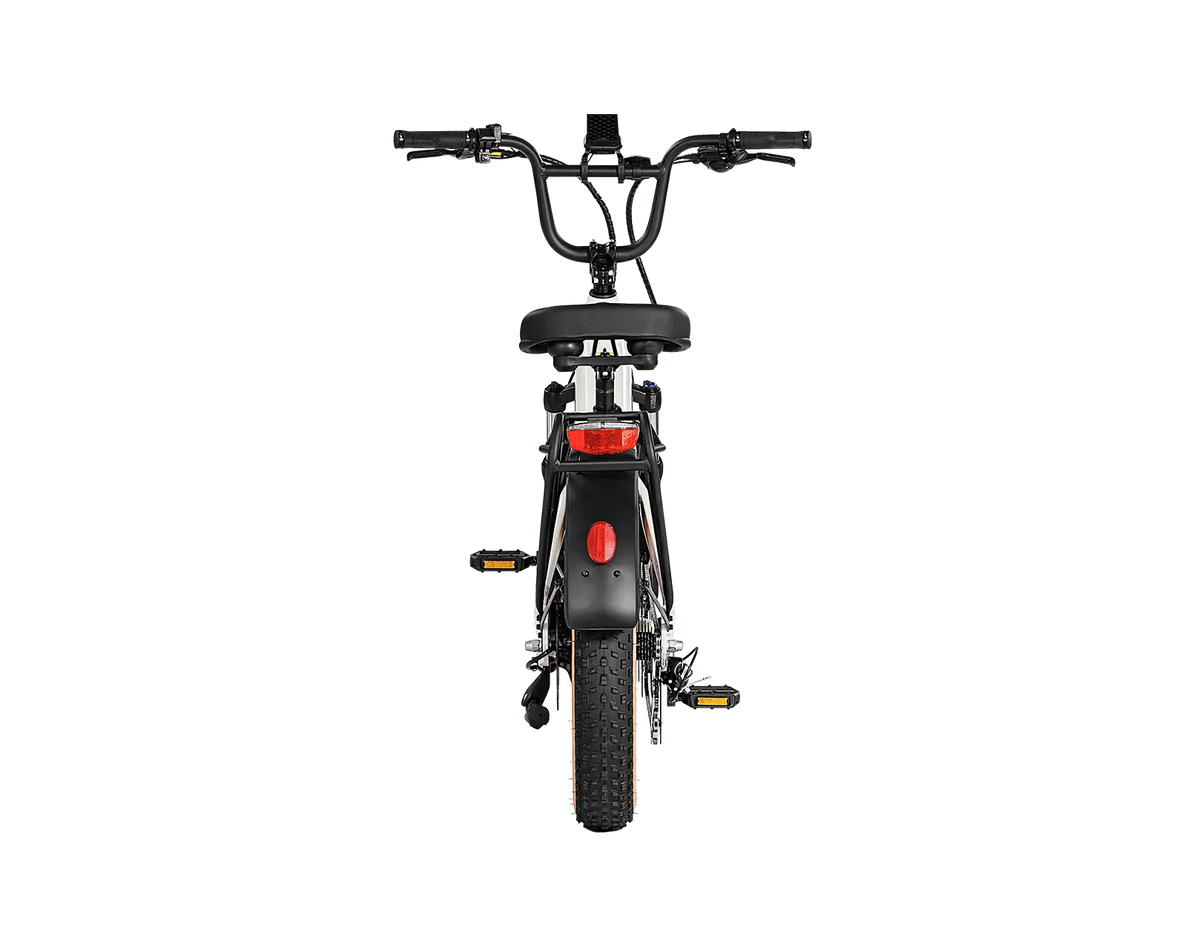 AIMA Big Sur Sport Ebike - view 3