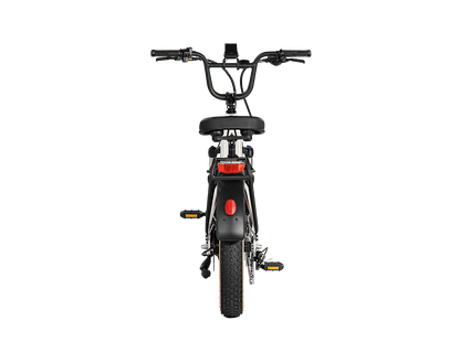AIMA Big Sur Sport Ebike - view 3