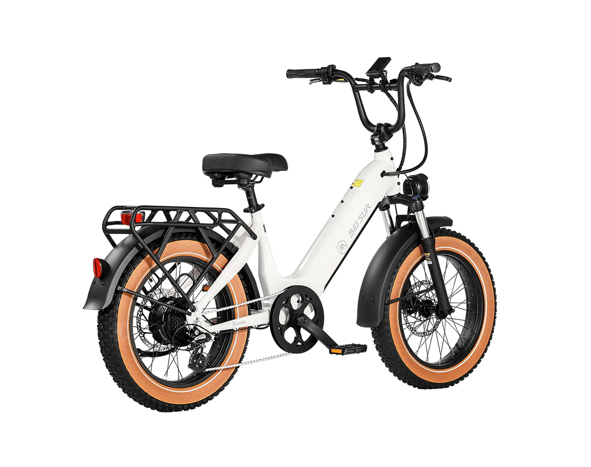AIMA Big Sur Sport Ebike - view 2